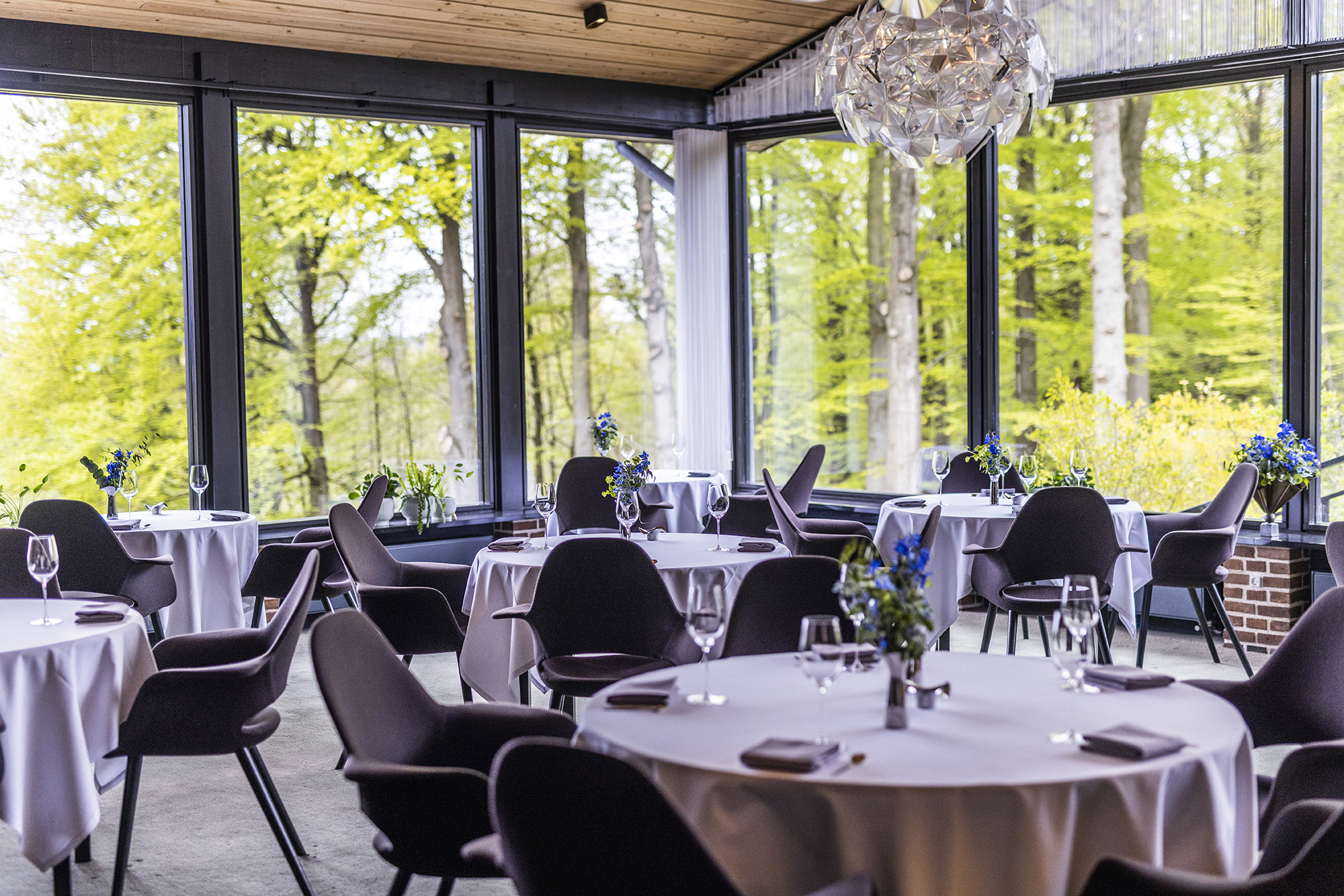 Treetop restauranten med udsigt til skov